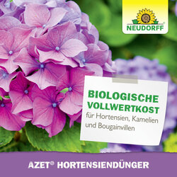 4005240019634 Sprechende Bilder Bild 6