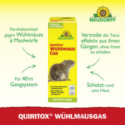 4005240004746 Sprechende Bilder Bild 2