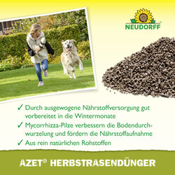 4005240012123 Sprechende Bilder Bild 4