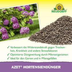 4005240019634 Sprechende Bilder Bild 4