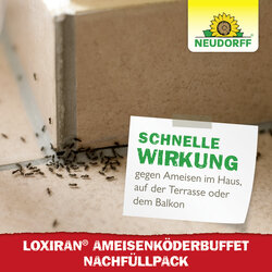 4005240006863 Sprechende Bilder Bild 6