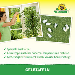 4005240003220 Sprechende Bilder Bild 5