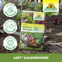 4005240023532 Sprechende Bilder Bild 5
