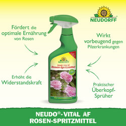 4005240033296 Sprechende Bilder Bild 2