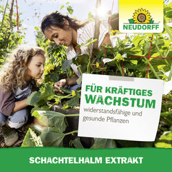4005240025833 Sprechende Bilder Bild 6