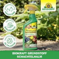 4005240019955 Sprechende Bilder Bild 6