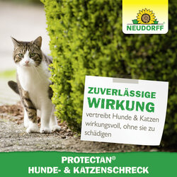 4005240030684 Sprechende Bilder Bild 6