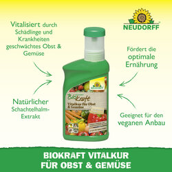 4005240019856 Sprechende Bilder Bild 2