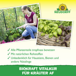 4005240019887 Sprechende Bilder Bild 4