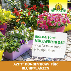 4005240030639 Sprechende Bilder Bild 6