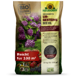 4005240001516 Sprechende Bilder Bild 1