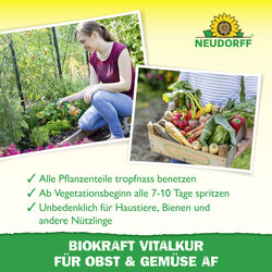 4005240019863 Sprechende Bilder Bild 4