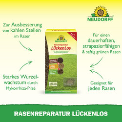 4005240005781 Sprechende Bilder Bild 2