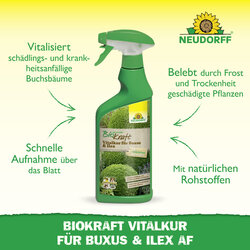 4005240019849 Sprechende Bilder Bild 2