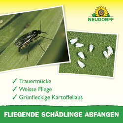 4005240003183 Sprechende Bilder Bild 4