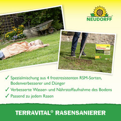 4005240033241 Sprechende Bilder Bild 4