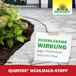 4005240023525 Sprechende Bilder Bild 6