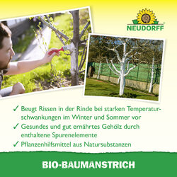4005240008164 Sprechende Bilder Bild 4