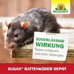 4005240006177 Sprechende Bilder Bild 6
