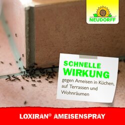 4005240006986 Sprechende Bilder Bild 6