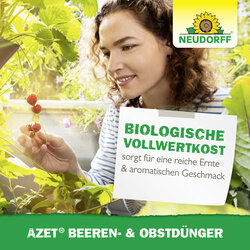 4005240001608 Sprechende Bilder Bild 6