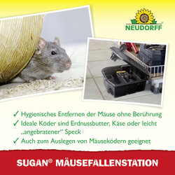 4005240033883 Sprechende Bilder Bild 4