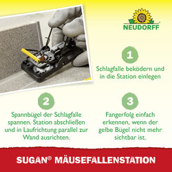 4005240033883 Sprechende Bilder Bild 5