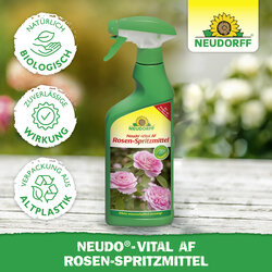 4005240033296 Sprechende Bilder Bild 5