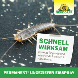 4005240040119 Sprechende Bilder Bild 6