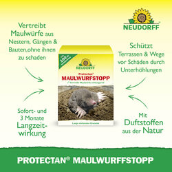 4005240030691 Sprechende Bilder Bild 2