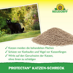 4005240095058 Sprechende Bilder Bild 4