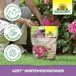 4005240019634 Sprechende Bilder Bild 5