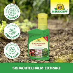4005240025833 Sprechende Bilder Bild 5