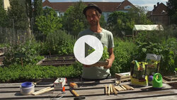 Urban gardening
