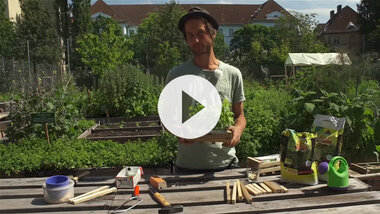 Urban gardening