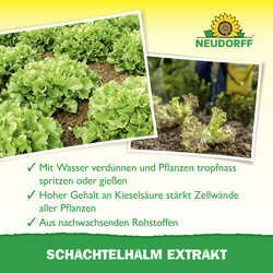 4005240025833 Sprechende Bilder Bild 4