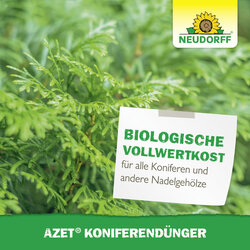 4005240001677 Sprechende Bilder Bild 6