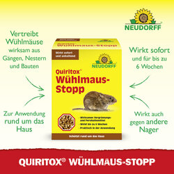4005240023525 Sprechende Bilder Bild 2