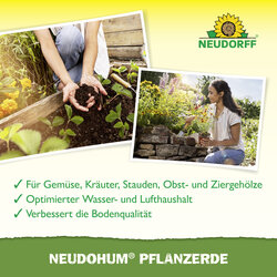 4005240009963 Sprechende Bilder Bild 4