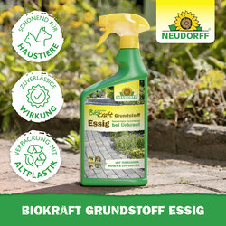 4005240019948 Sprechende Bilder Bild 5