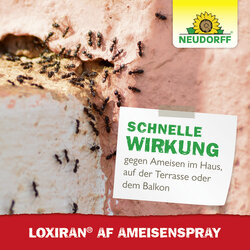 4005240023471 Sprechende Bilder Bild 6