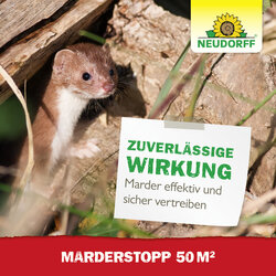 4005240030400 Sprechende Bilder Bild 6