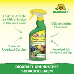 4005240019955 Sprechende Bilder Bild 2