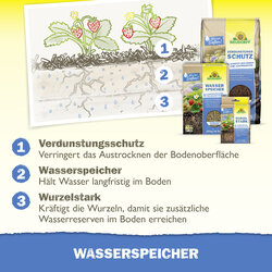 4005240025758 Sprechende Bilder Bild 5