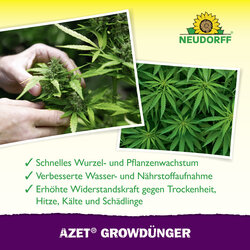 4005240025840 Sprechende Bilder Bild 4