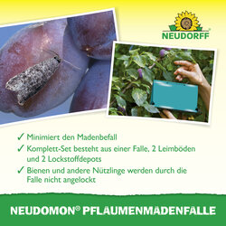 4005240005408 Sprechende Bilder Bild 4