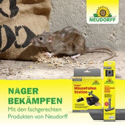 4005240023525 Sprechende Bilder Bild 7