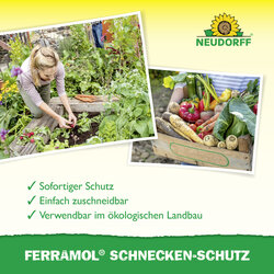 4005240009208 Sprechende Bilder Bild 4