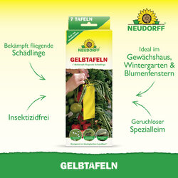 4005240003220 Sprechende Bilder Bild 2