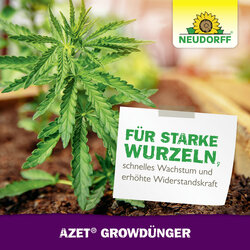 4005240025840 Sprechende Bilder Bild 7